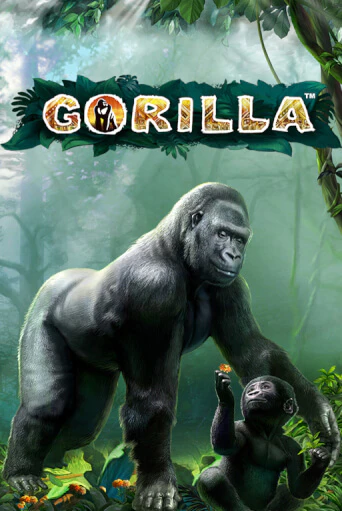 Демо версия игры Gorilla | VAVADA Сайт 