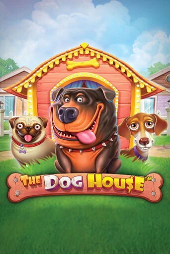 Демо версия игры The Dog House | VAVADA Сайт 